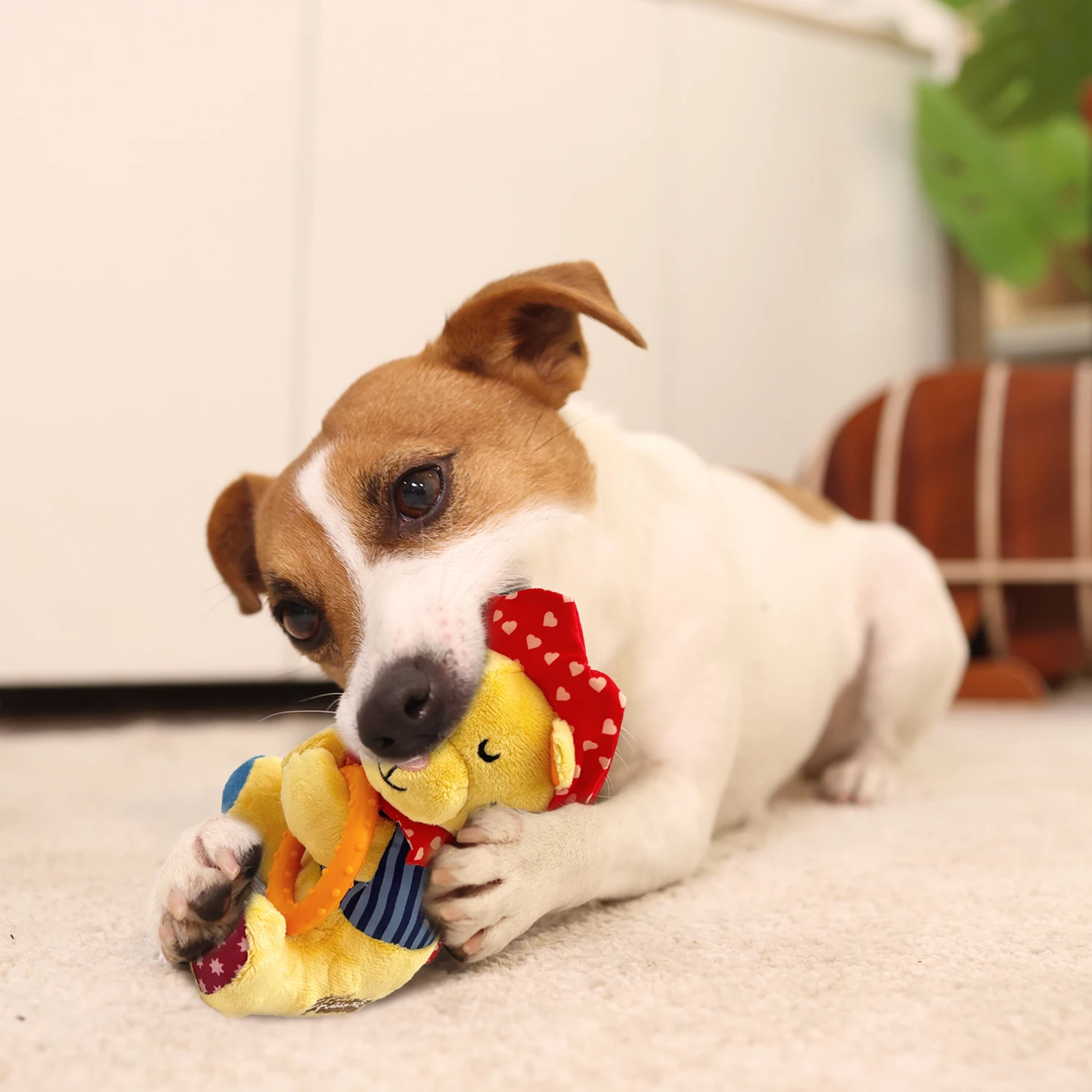 2022 Pet products top seller Plush Friendz with squeaker and TPR ring plush dog chew toy stuffed toy for dogs