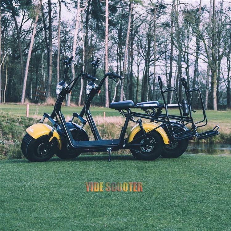 Citycoco Fast Electric Scooter Electric Scooters for sale High Speed 1500W Arrival Disc Brake Steel Citycoco Electric Scooters