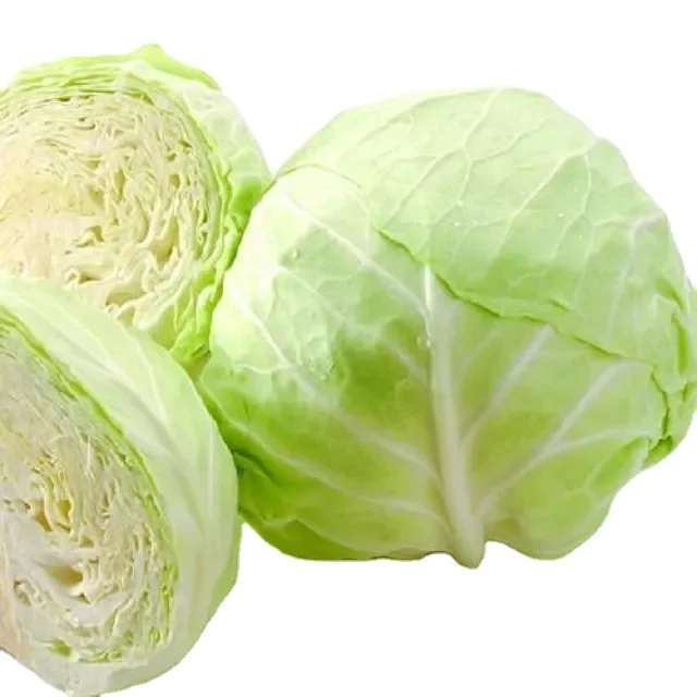 Cabbage  Fresh cabbages   Cabbage price