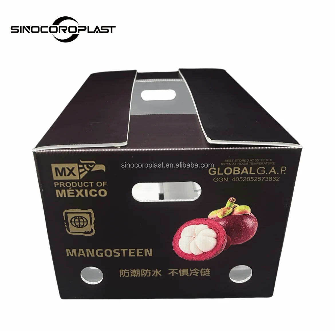 Wholesale Custom Foldable Plastic Corrugated Fresh Printed Folding Fruit Storage Packaging Packing PP Coroplast Box For Fruit