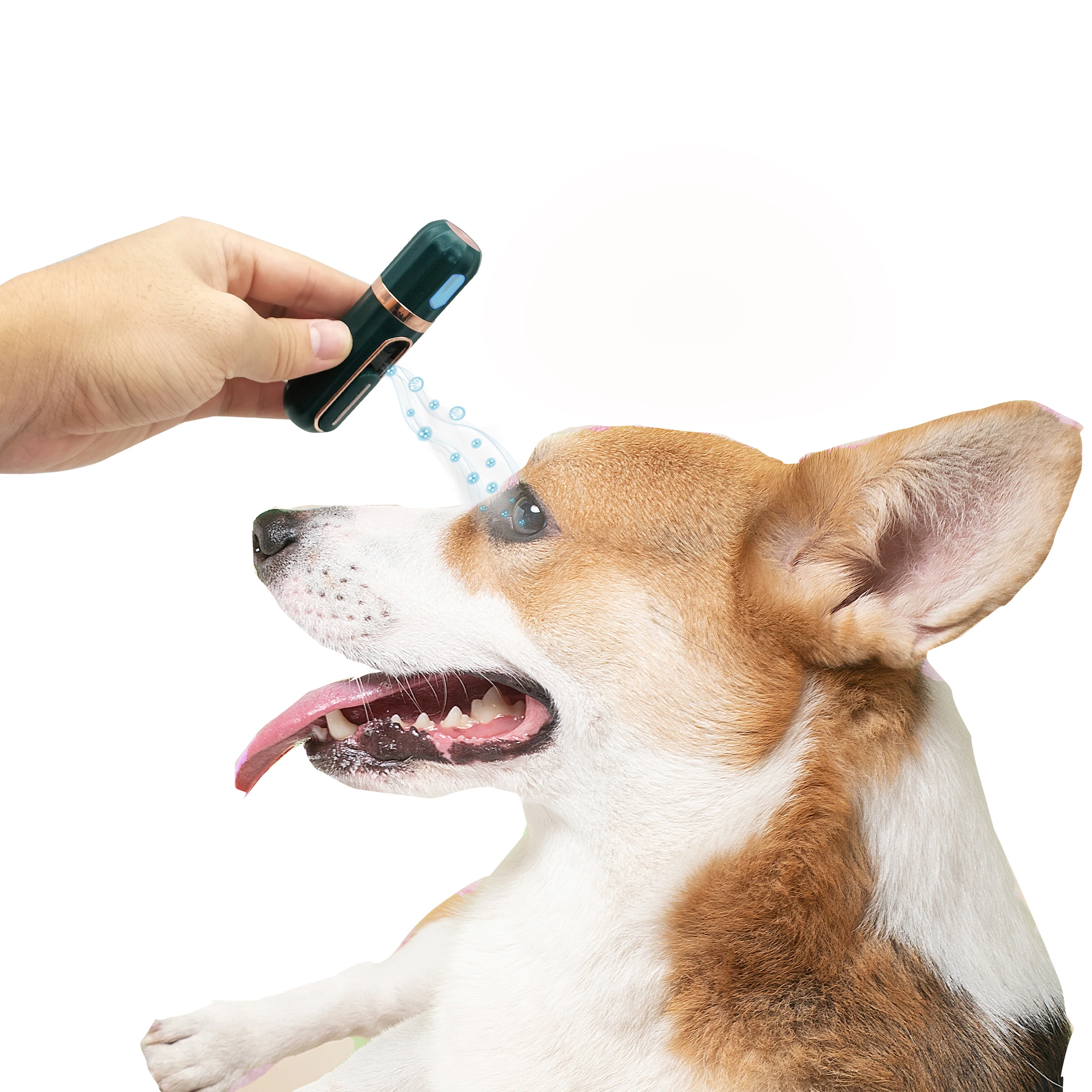2023 Family Veterinary Clinic Hand held Medical Pet eyes Nebulizer First Supplier