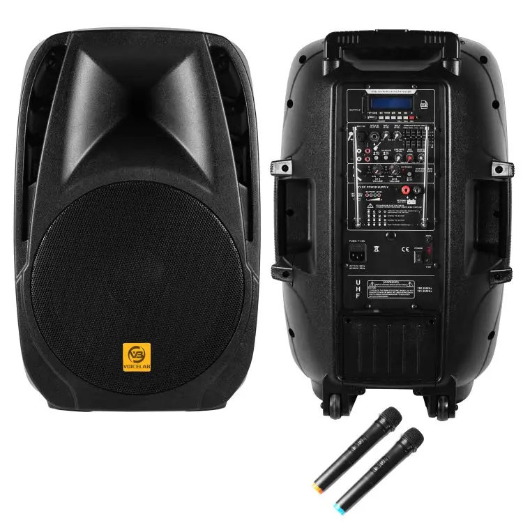 ELE15-BM100P2U7 15 дюймов караоке динамики звуковая система DJ звуковое