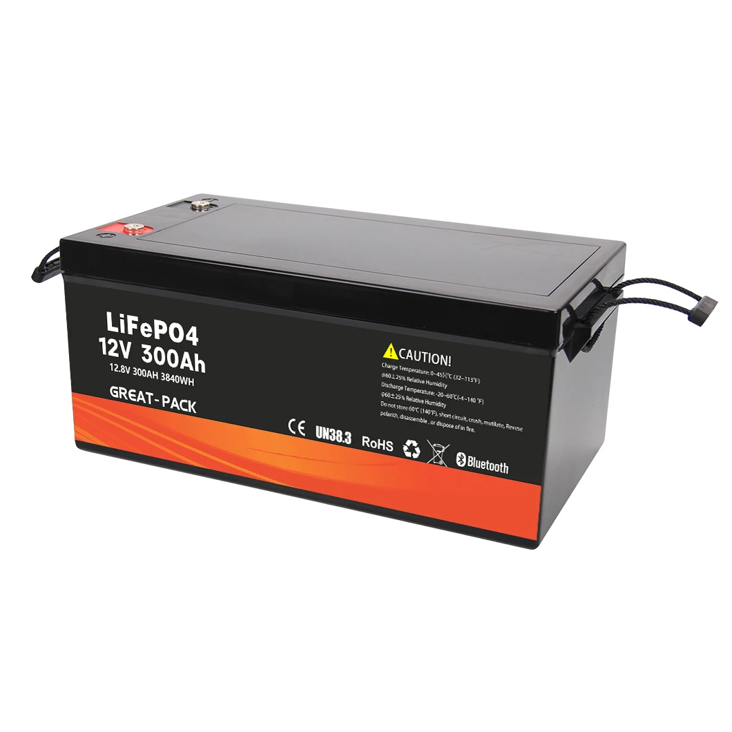 ABS Plastic Portable 10Kwh 5Kwh Lifepo4 Battery 5000 Cycle Life 12V 300Ah Lithium Solar Battery 200Ah 100Ah Lifepo4 Batteries