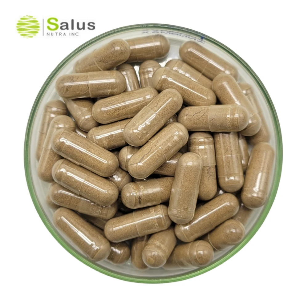 Pygeum Africanum Extract Capsules Pygeum Supplement 500mg 61 Capsules OEM Private Label For Male Prostate Health, Bladder