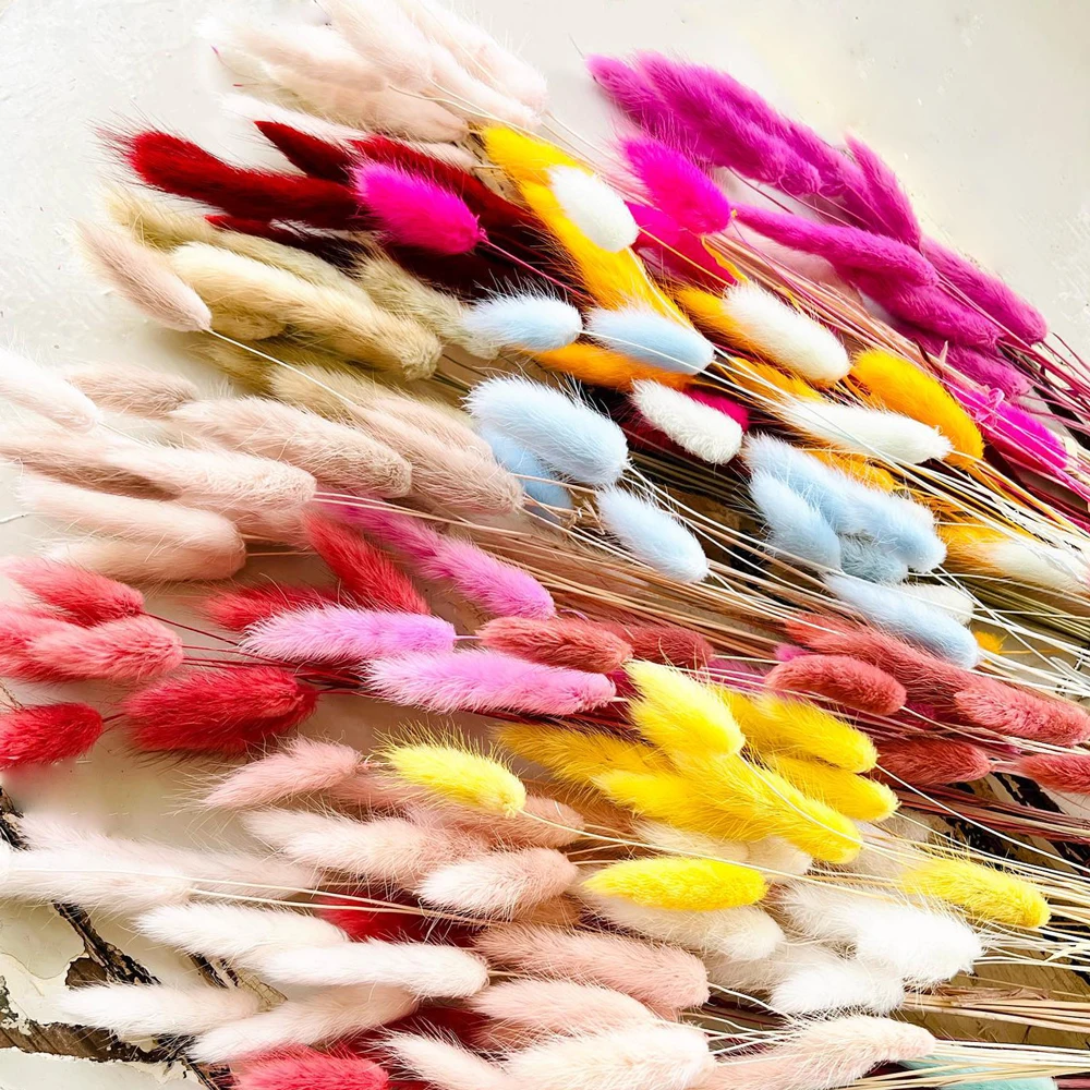 Hfloral Wholesale Bouquet dried flowers wedding decoration design party flower arrangement preserved forever Lagurus ovatus