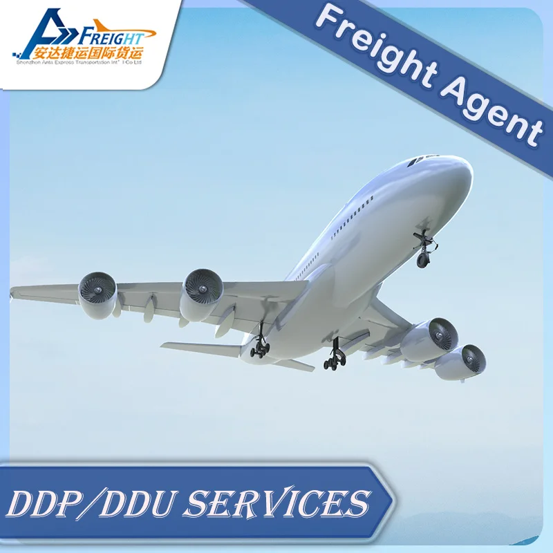 Door To Door Service For Germany By Sea By Air DDP service