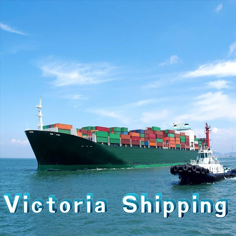 Hot sale and the cheap sea freight with the profession service and high quality