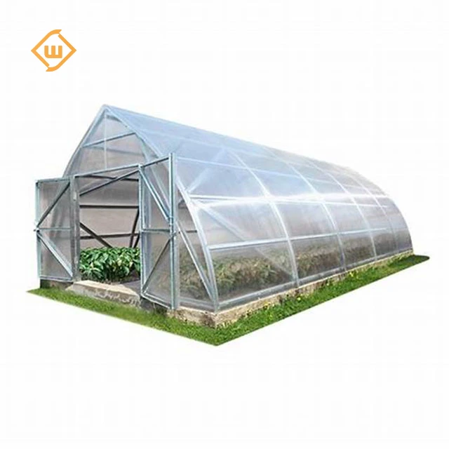 modern steel pipe tunnel tomato hook single span greenhouse structure polycarbonate commercial large green house