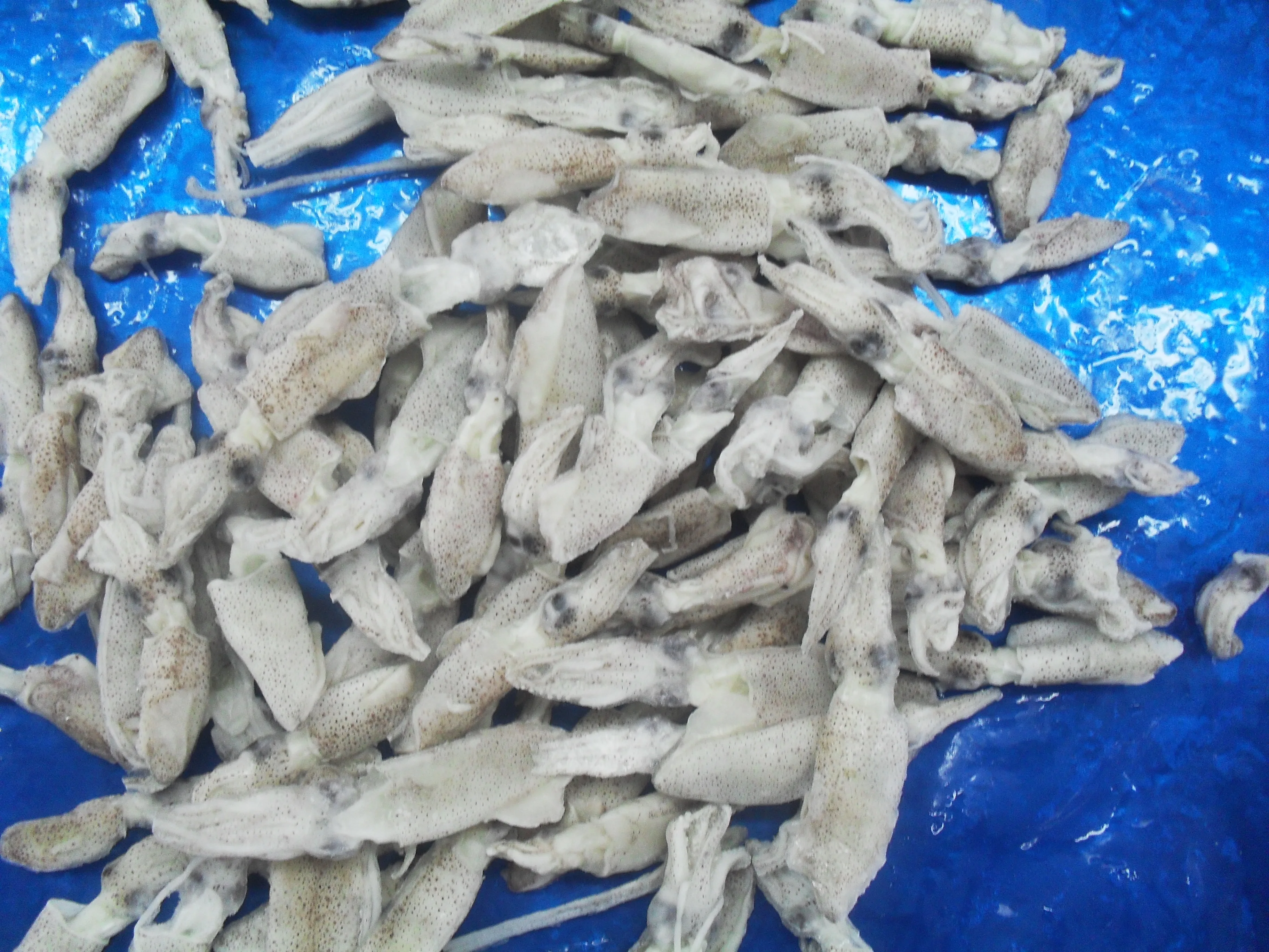 China Manufacturer Cheap Natural Nutrition Frozen Ring Baby Squid For Cooking