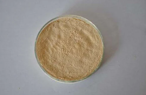 
Blood plasma high protein concentrate animal feed 