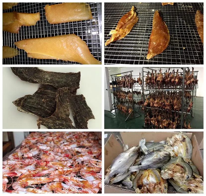 Widely Used Cabinet Tray Drying Oven for Food/ Fish/ Meat/ Flower/Vegetable secador/wood dryer machine