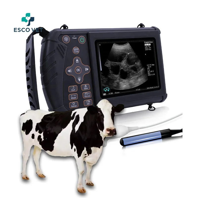 Good Quality Veterinary Ultrasound Machine Cattle Pregnancy Ultrasound Machine Artificial Insemination Gun For Cattle