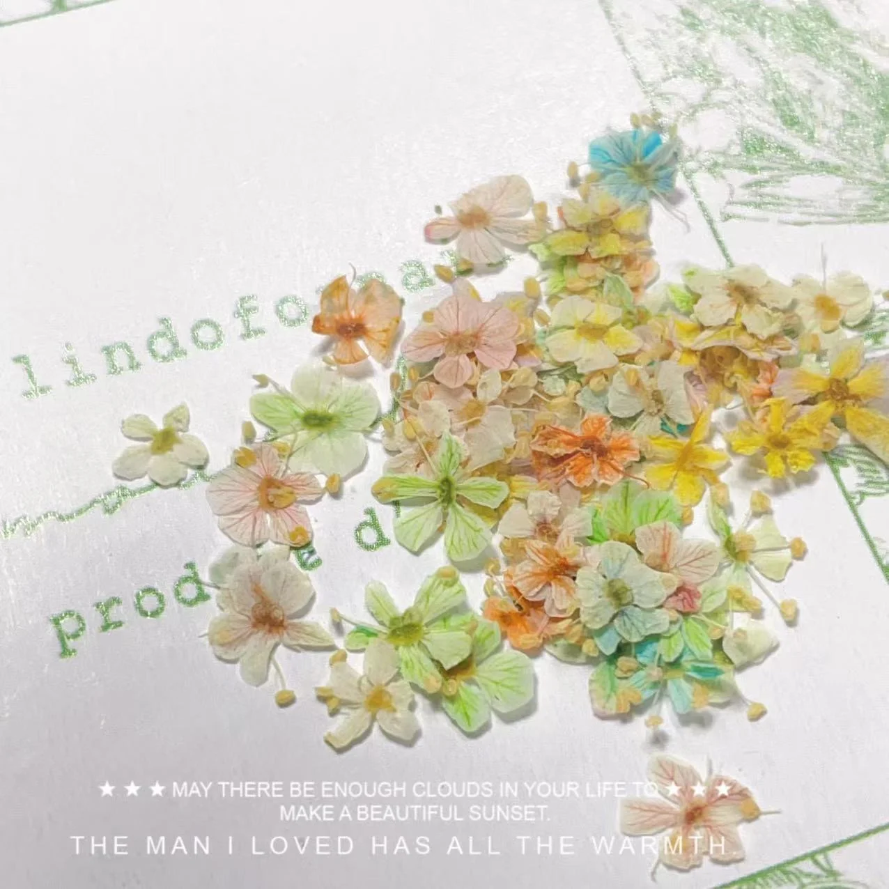 High Quality Dried Flowers DIY Nail Decorations Nail Art Pressed Dry Flower Nature Real Nail Art Dried Flowers