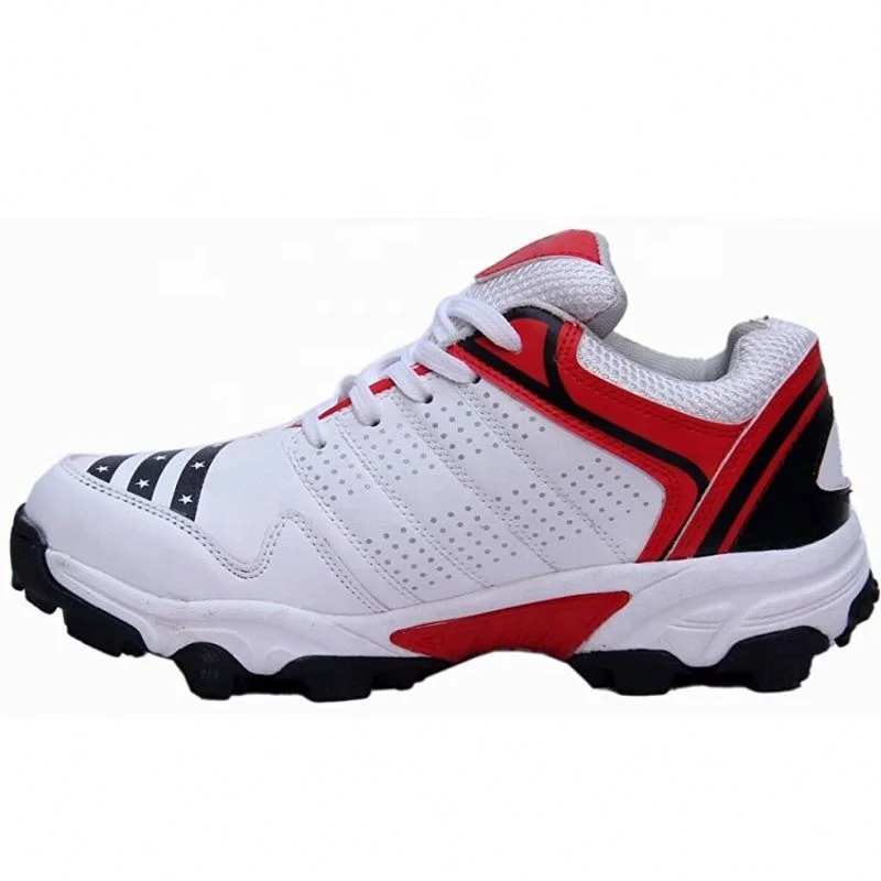 Custom 1 pair spikes cricket shoes for men