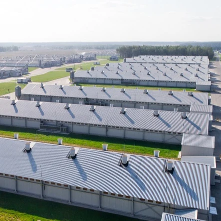 Qingdao modular steel structure poultry fattening chicken shed with breeding equipment system