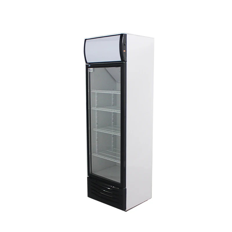 Commercial Single-Temperature Pepsi Drink Display Refrigerator 2-Door Glass Door Cooler for Supermarket Meat Store Applications