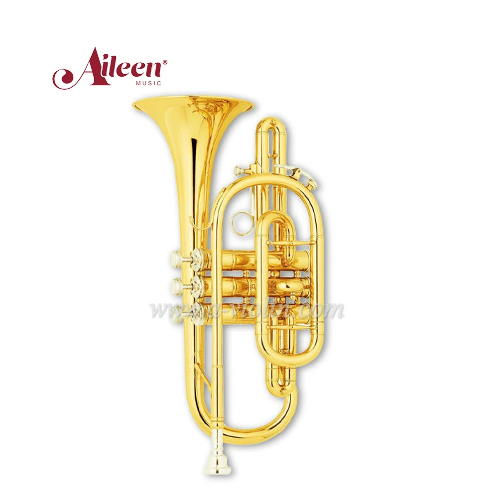 Золотистый лак Bb Key China Brass Cornet (CN8710)