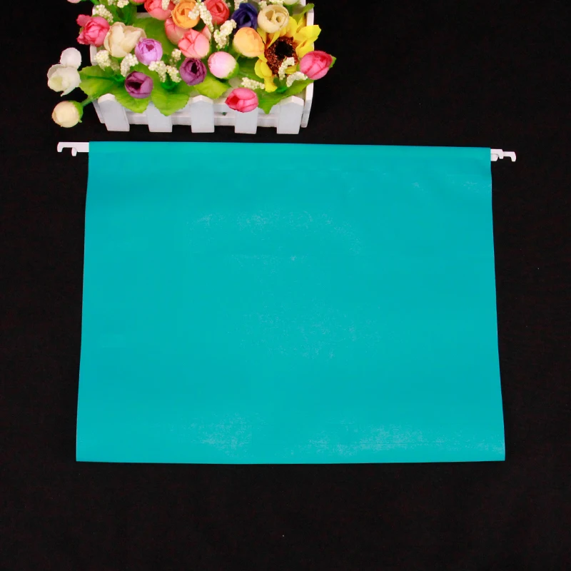 2020 Hot Sale Eco-friendly Office Plastic Suspension Files