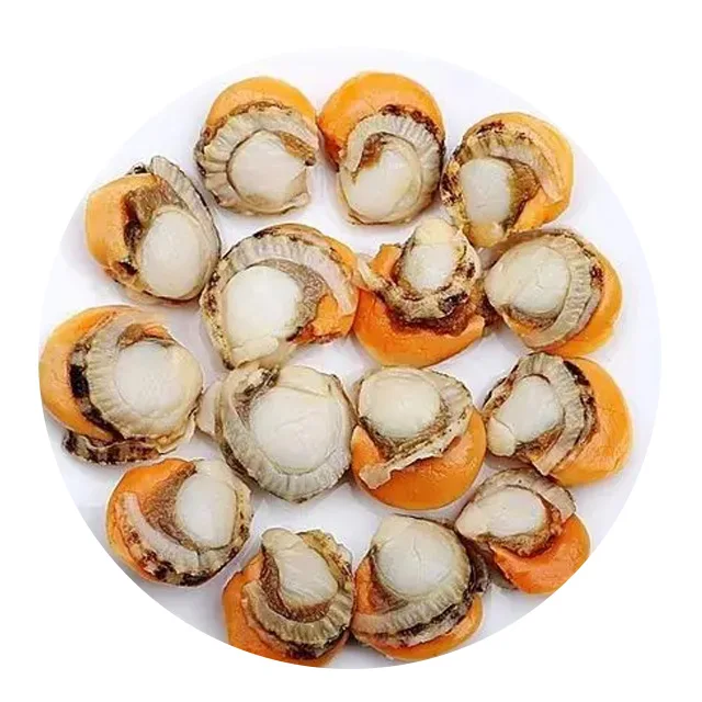 
Manufacturers Provide Frozen Scallop 2021 Hot Sell High Quality Scallop 