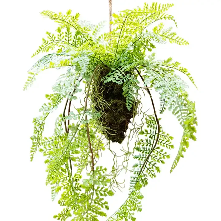 Simulation ferns plants in the air hanging ball hanging decoration green plants window decoration