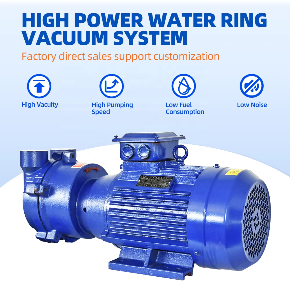 High-Vacuum 11KW Liquid Ring Pump Water Ring Pump 400m3/h Air Compressor Pump Head for Pumps Genre