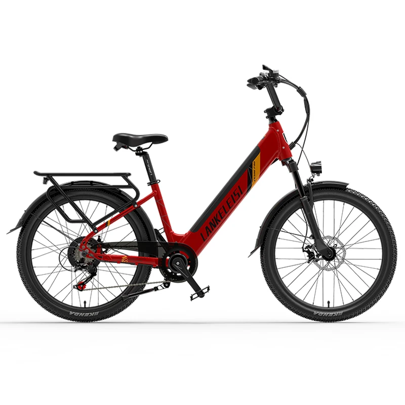 24inch Fat Tire Electric Bike Manufacturer Customized 500w 48V 16Ah Ebike Mountain Dirt Bicycle with Lithium Battery