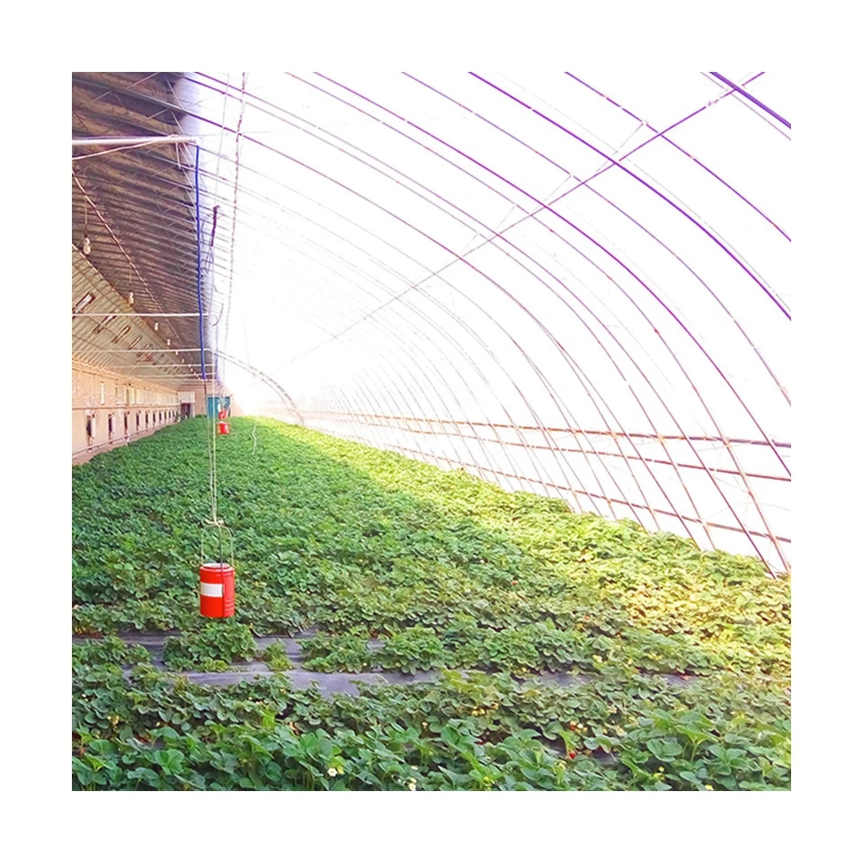 Promotional various  in-solar greenhouses agricultural greenhouses green house greenhouse