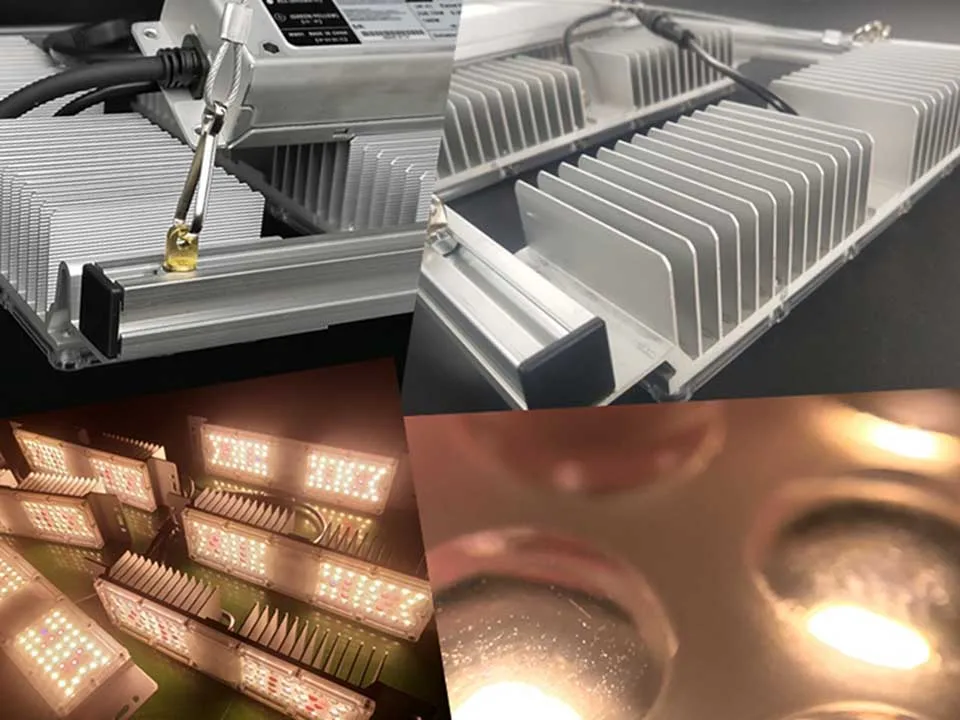 2024 High PPFD IP65 Full Spectrum Sunlike color 100W Plant Grow Light for wholesale