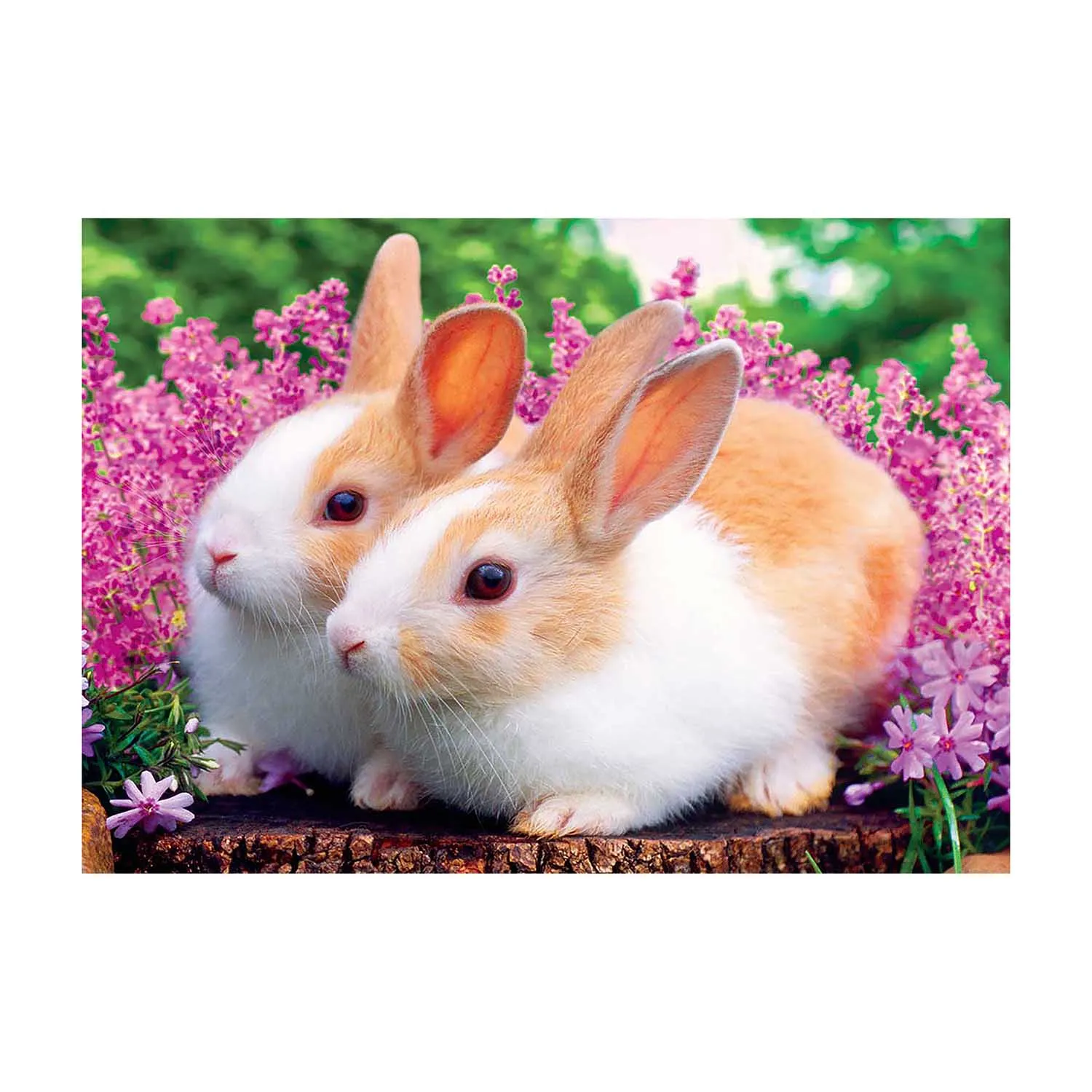 Алмазная живопись, животные, кролики на холсте, украшение для дома
