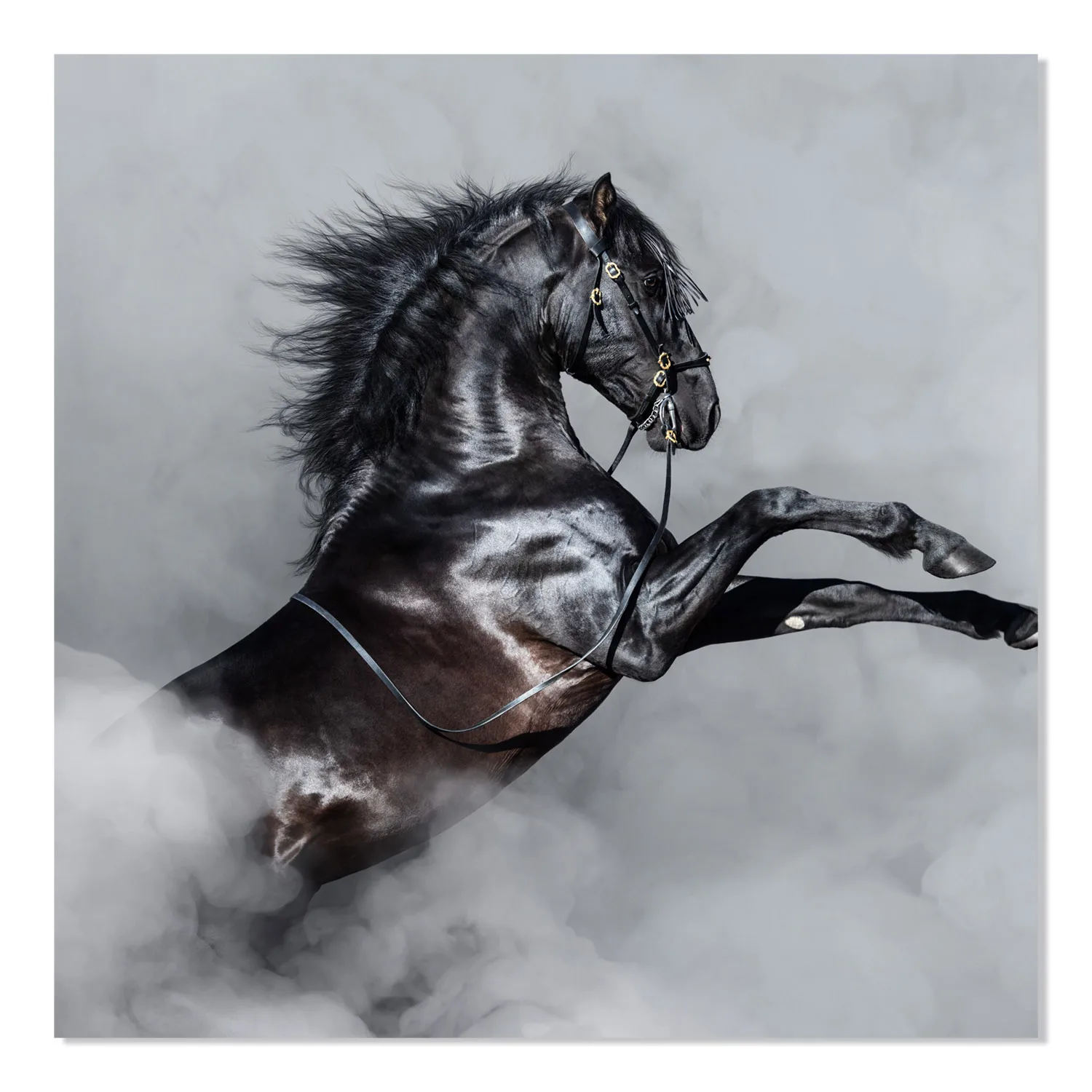Abstract Horse - Motif Acrylic Art Panel eight horses painting for living room paintings for office paintings