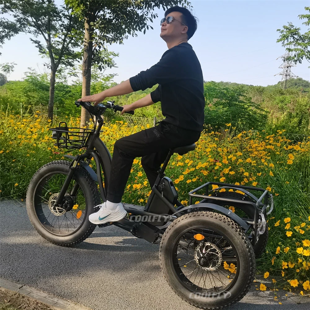 Wholesale Adults 48V 500W 750W Motor 24Ah Lithium Battery 3 Wheel Bicycle Cargo Trike Bike Fat Tire Electric Tricycle