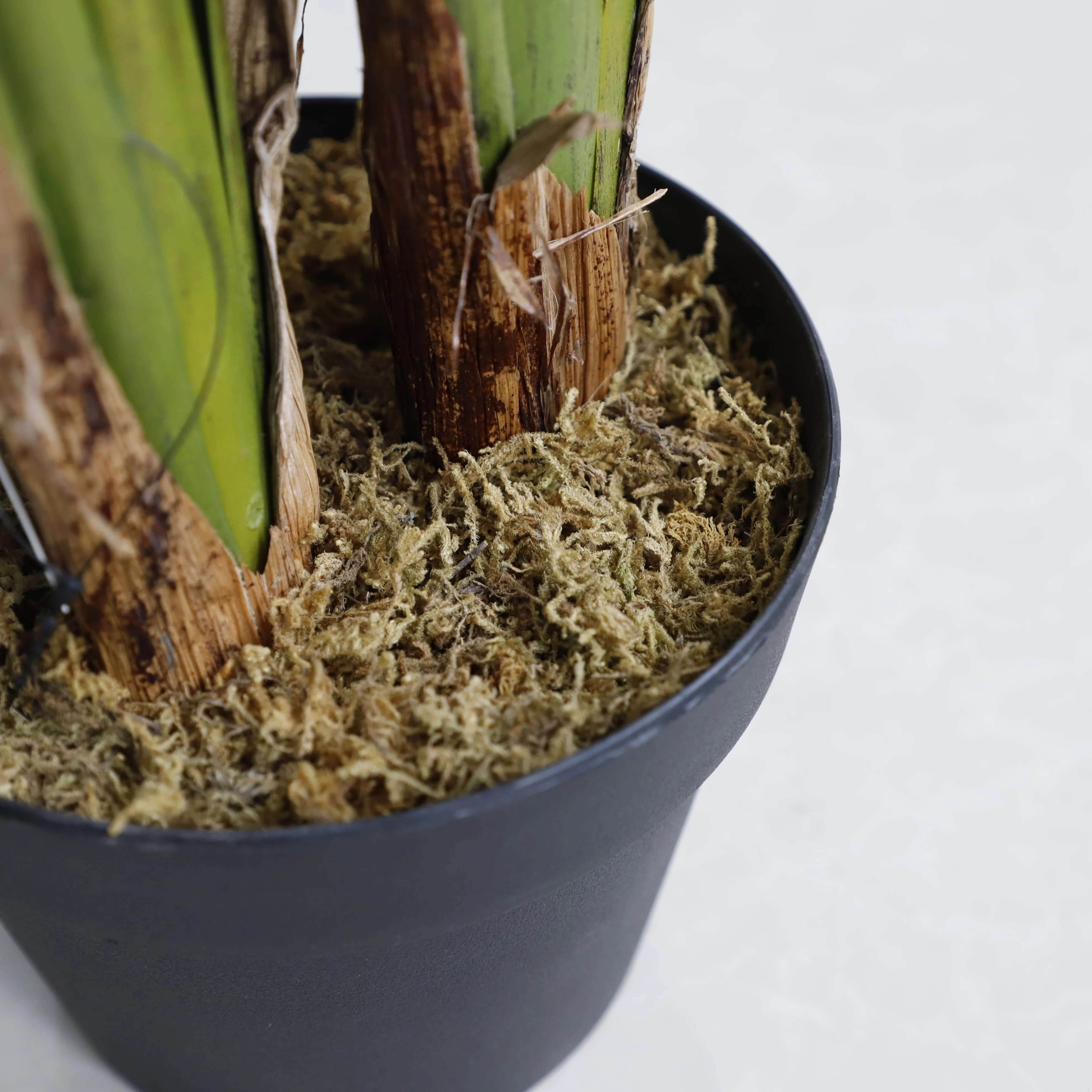 Artificial Traveller Banana Tree Heliconia Librata Griggs Fan Leaves Carton Modern Decorative Flowers & Wreaths 100 Pcs CN;GUA