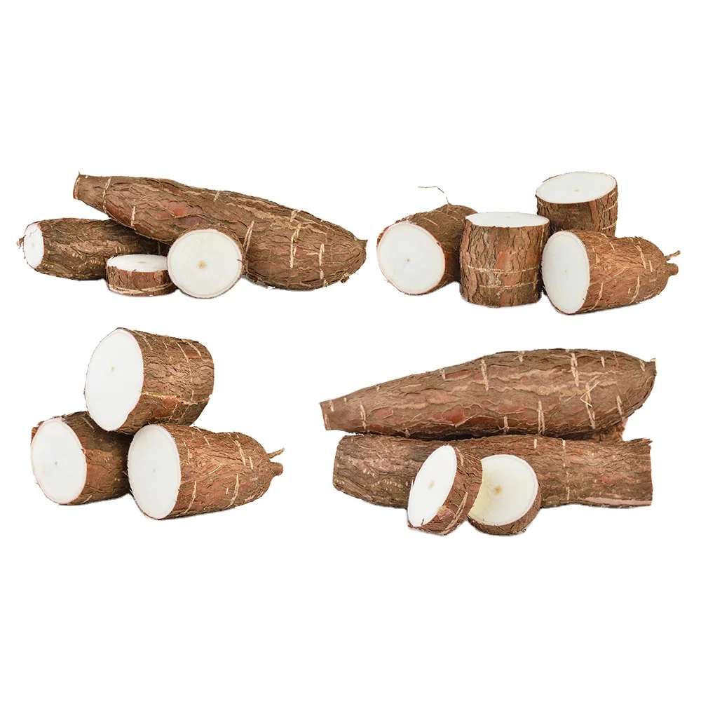 cassava chip for Ready to ship and Fast logistic service/ Starch material and others/International qualify cassava chips