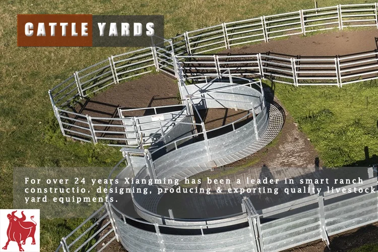 Cattle-yard