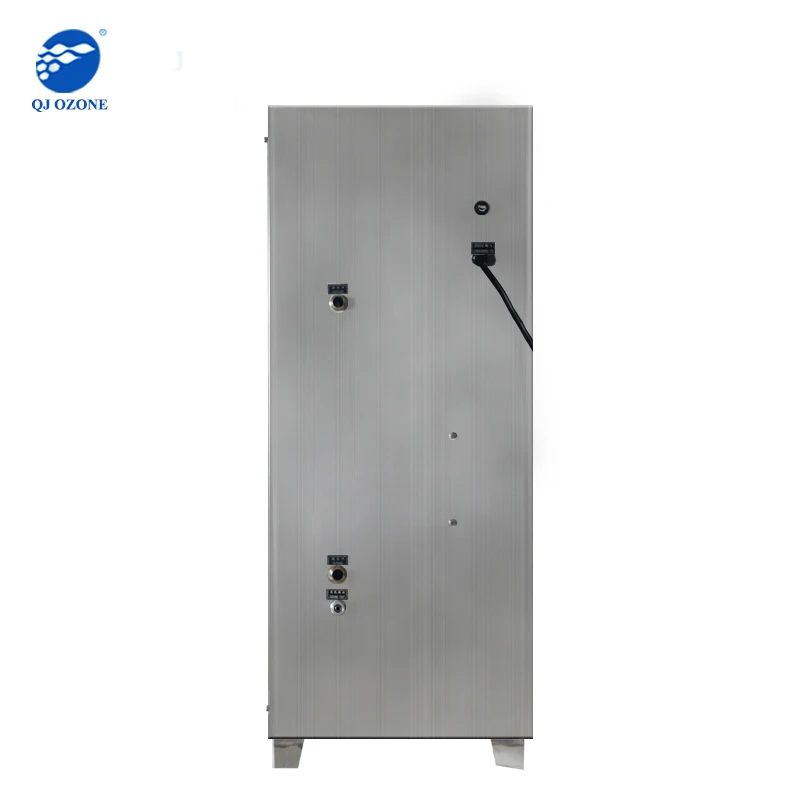 Professional Ozone Machine 60g For Odor Remove Water Purification