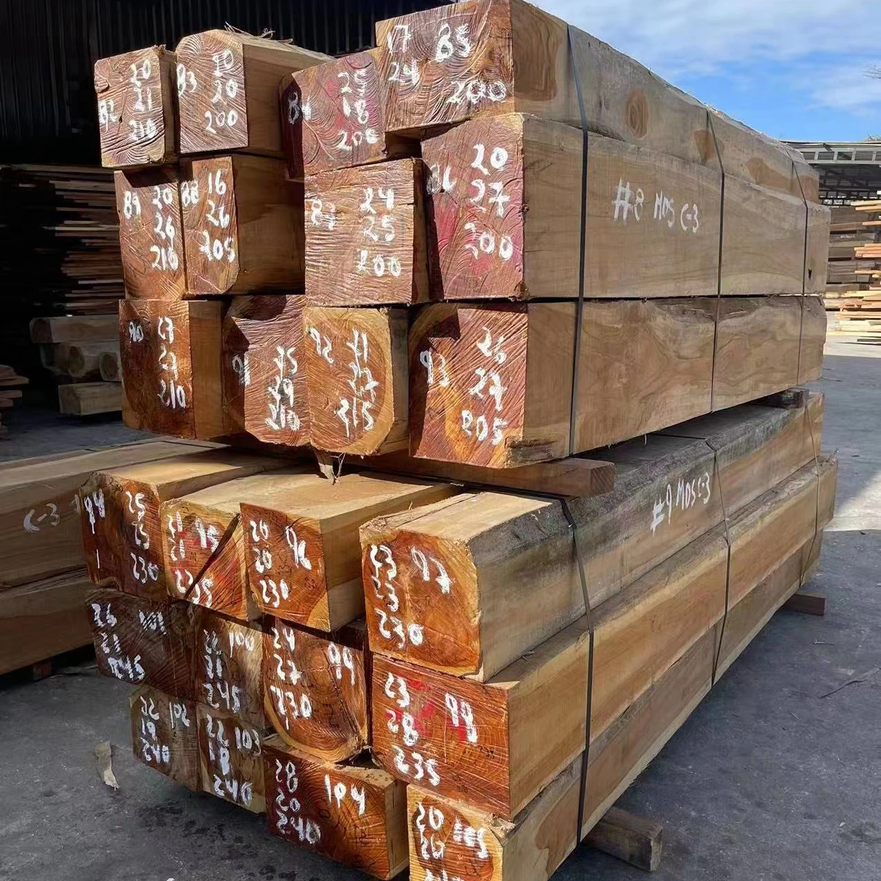 Venezuela Wood Teak wood from Venezuela Good quality with Good price