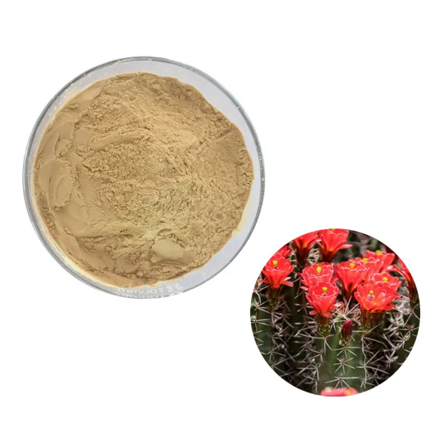High quality Cactus Extract Powder Cactus Powder Cactus Fruit Powder