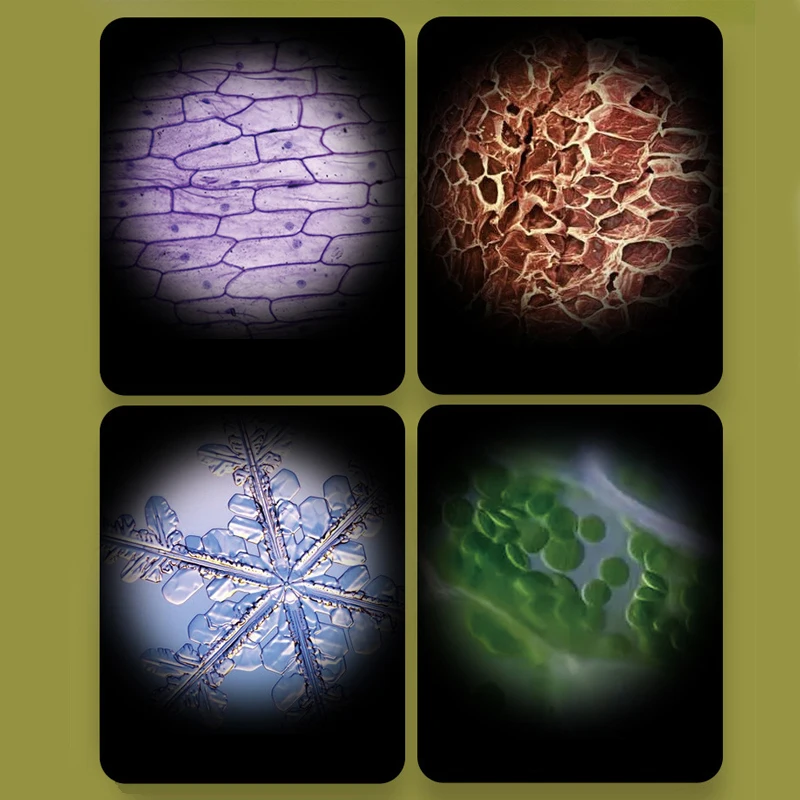 Educational science led light learning student portable kids microscope toy