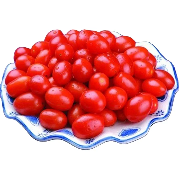 
Export fresh organic big snow white cherry tomatoes 