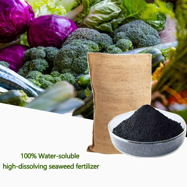 Low Price Guaranteed Quality Seaweed Extract Powder18% Seaweed Organic Fertilizer Powder