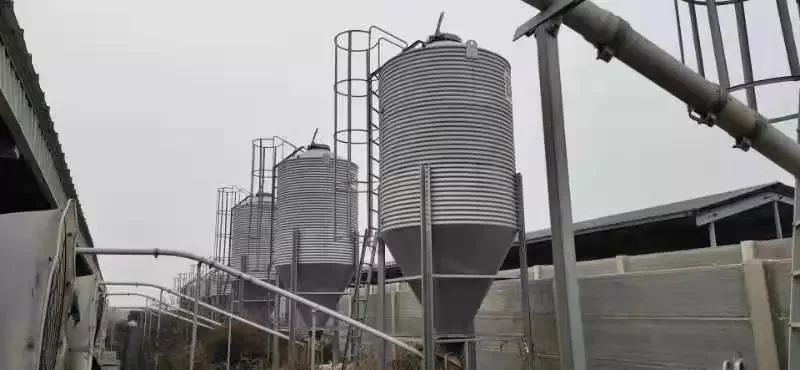2021 animal feeder small silos 3t 5t 10t 20t small volume feed silo poultry animal feed bin Customized Steel Chicken Feed Silo
