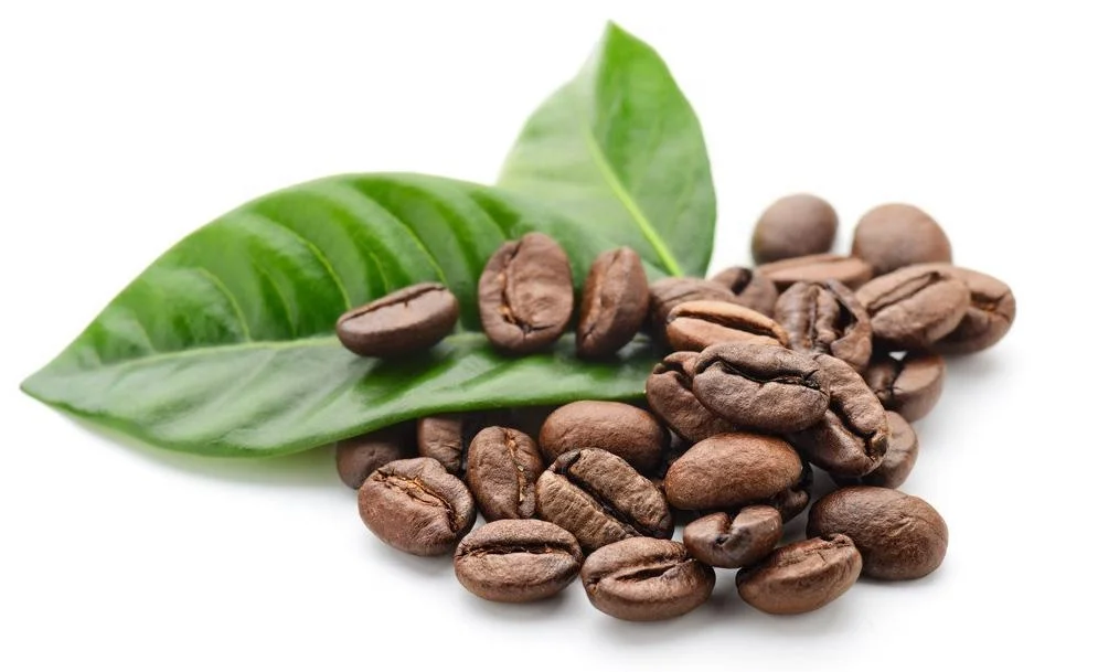 Cocoa Bean Peeling And Screening Machine Cocoa Bean Winnower Cacao Winnowing Machine