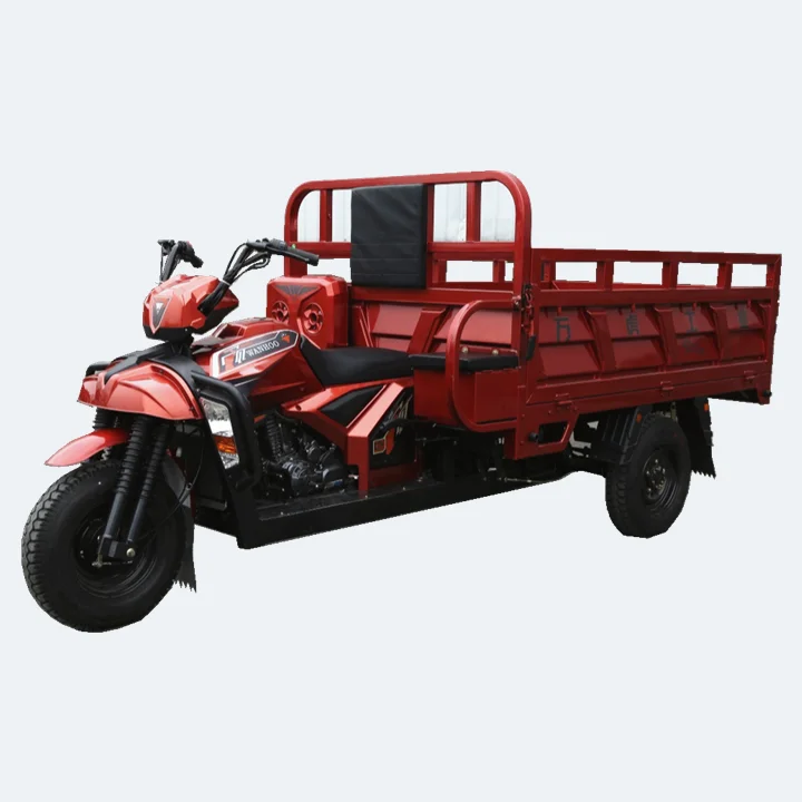 Hot Sale Chongqing Wanhoo Brand motorcycle heavy duty cargo tricycle for Sale