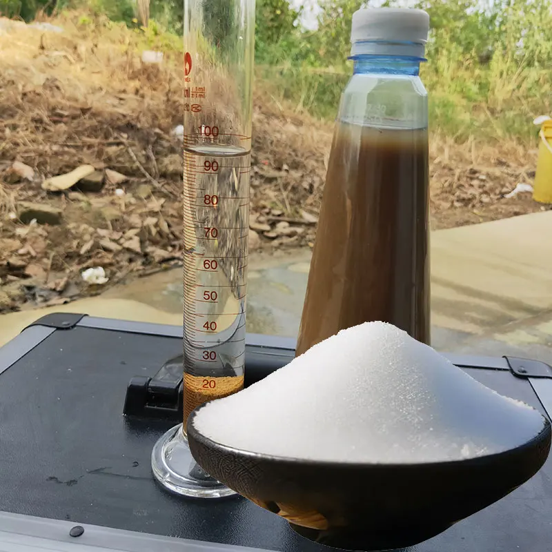 Sewage Treatment Plants  Water Treatment Chemical Polymer Cationic Polyacrylamide Powder Floculant