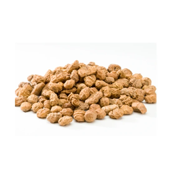 Best Selling Raw Dried Tiger Nuts Bulk Export Organic Tiger Nuts for Sale