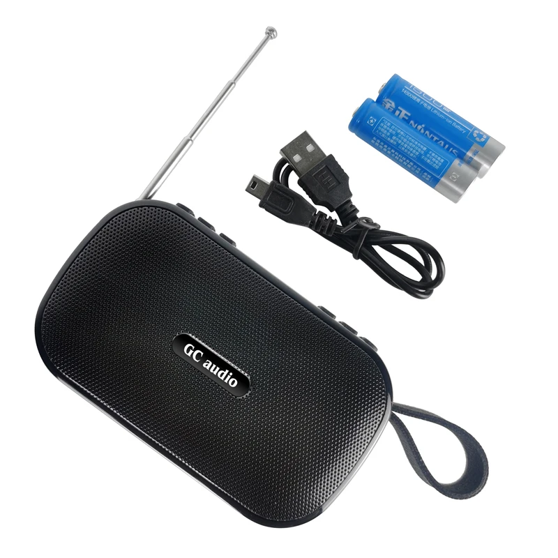  Хорошее качество Портативный fm-радиоприемник с USB TF-картой воспроизведение перезаряжаемая батарея синий зуб запись aux in радио динамик