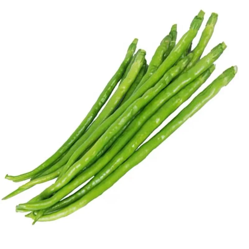 Hybrid f1 hot chili Hot Pepper Vegetable Seeds for Planting New Cency