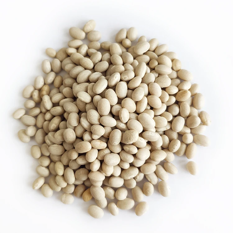 Wholesale Chinese Low Price White Navy Kidney Beans