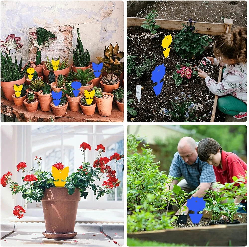 High quality durable using various blue board fly glue trap