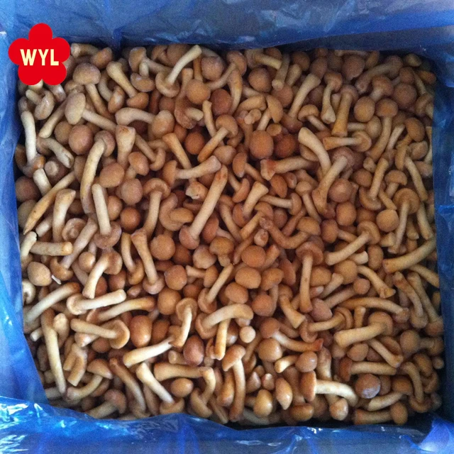 High Quality Iqf Frozen Nameko Mushroom for frozen mushroom